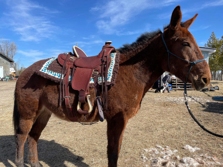 Comfy Saddle Blankets Hooked with Wool
