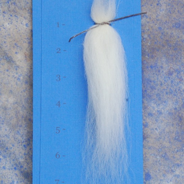 Staple length close view of off-white wool top