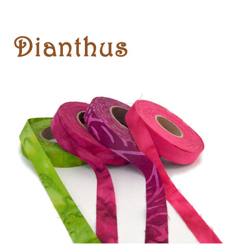 Color Crazy Fabric Strips Explore Color Collections